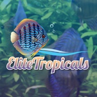 Elite Tropicals pour PC