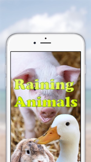 Raining Animals(圖1)-速報App