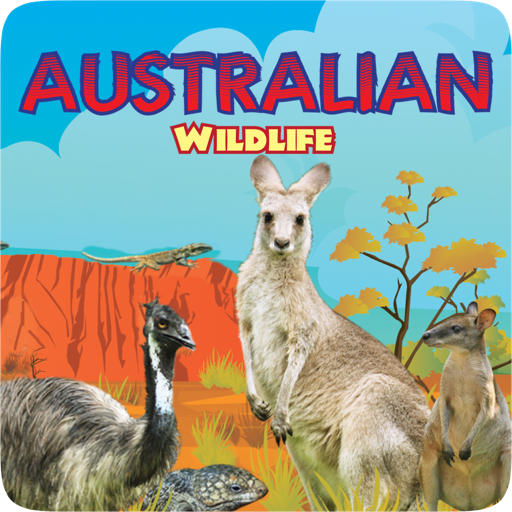 Australian Wildlife