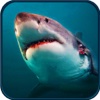 Shark Simulator 3D Little White Fish Shooting Game