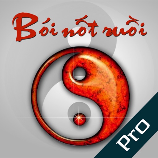 Boi Not Ruoi Pro icon