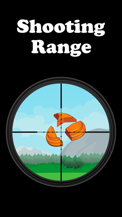 Shooting Range - Aim & Fire at the Target InterNational Championship