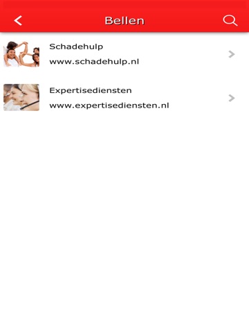 Schadehulp screenshot 4