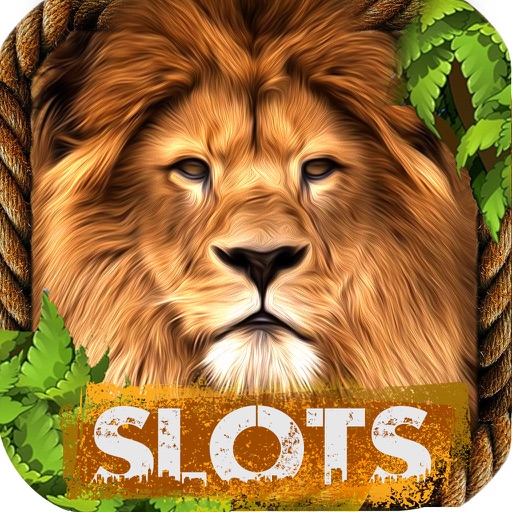 Lion Slot Machines Safari Tournament iOS App