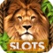 Lion Slot Machines Safari Tournament
