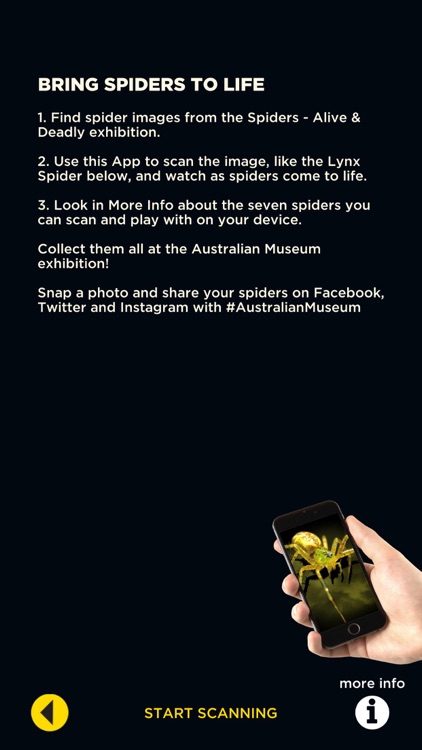 Spiders Augmented Reality