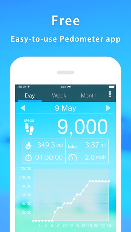 Pedometer - Perfect for walking and dieting