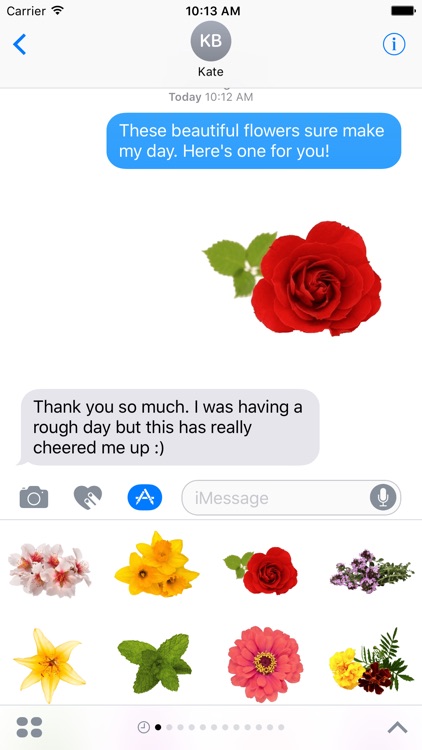 Spring Flowers Stickers for iMessage