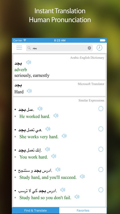 Arabic Translator, Offline English Dictionary