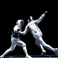 Fencing Aid sur PC