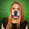 Animal Face Photo Montage: Funny Camera Stickers