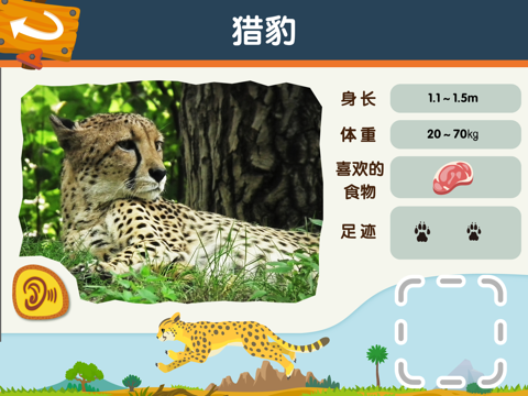 超级印章   识动物 screenshot 4