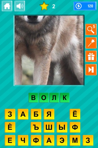 Close-up & Words - Animals Edition screenshot 2