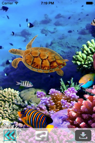 Underwater World Livewallpaper screenshot 4