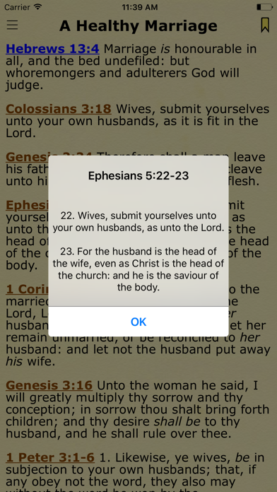 Bible Verses by Topics of the King James Version screenshot 2