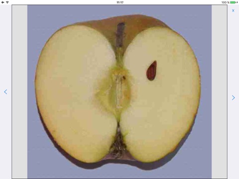 PomIdent - Apfelbestimmungshilfe screenshot 2