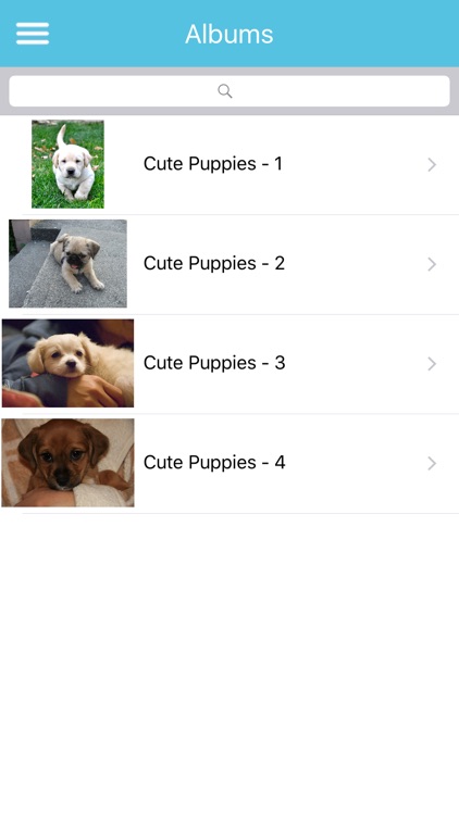 Cute Puppies Images screenshot-3