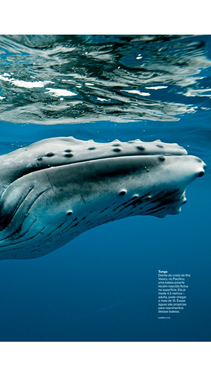 Revista National Geographic Brasil screenshot-4