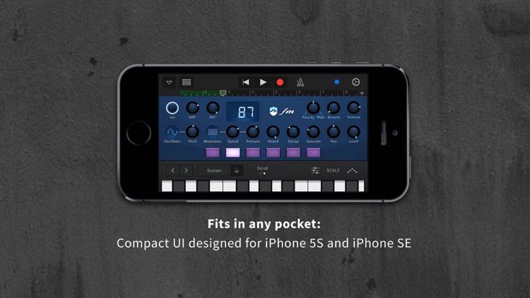 Ruismaker FM screenshot-3