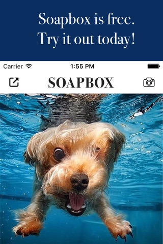 The Soapbox: Photos For Everyone screenshot 3
