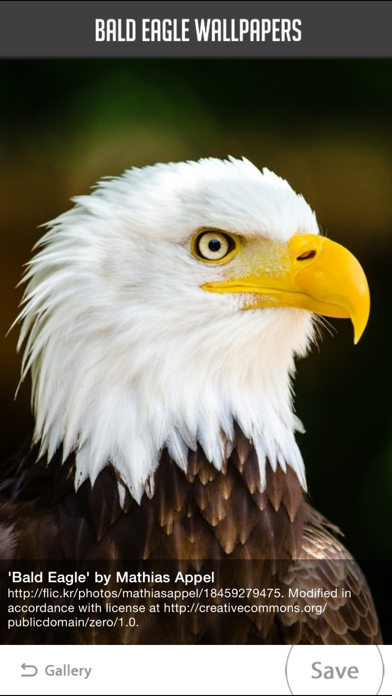 How to cancel & delete Bald Eagle Wallpapers from iphone & ipad 4