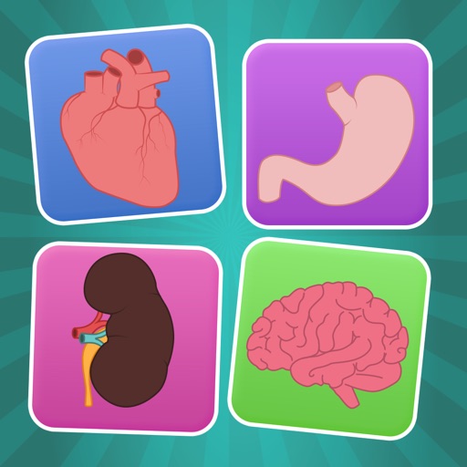 Human Anatomy Atlas Learning Flashcards For Kids iOS App