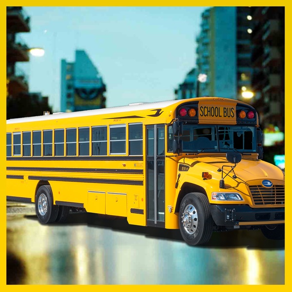 SCHOOL BUS DRIVING SCHOOL BUS DRIVING