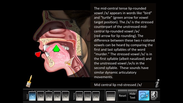 Vowels Central Diphthong(圖2)-速報App