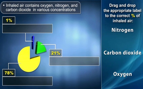 Medrills: Pathophysiology screenshot 4