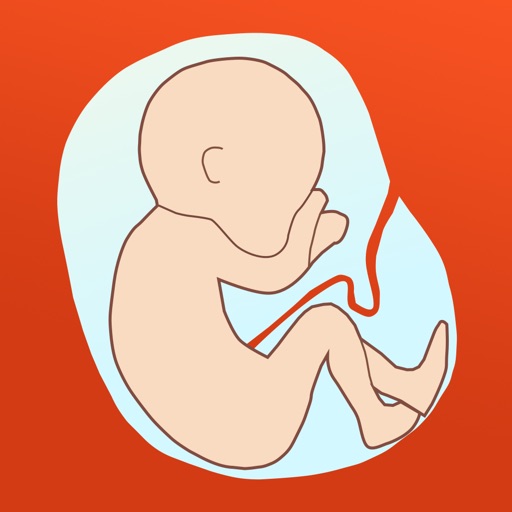 Hava a Baby - Your pregnancy assistant iOS App