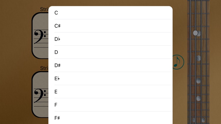 Bass Fretboard Notes