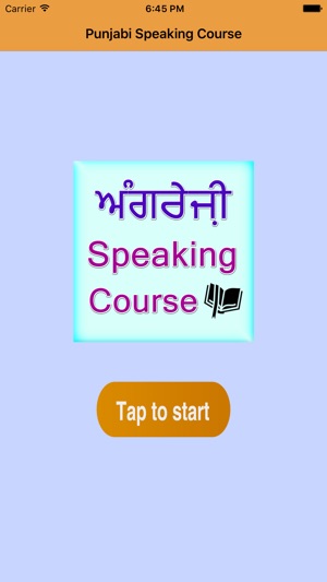 Best Punjabi English speaking course