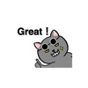 Animated Funny Grey Cat Stickers Pack