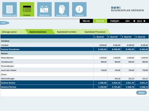 BMWi Businessplan screenshot 3