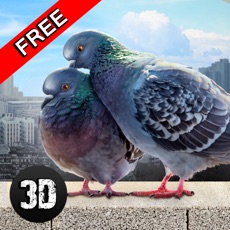 Activities of Pigeon Bird Survival Simulator 3D 2