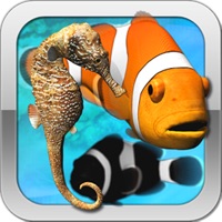 Toddler Sea Fish Jigsaw Puzzle - Kids Learning App