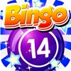 Bingo Dusk - Multiple Daub Bonanza And Vegas Odds