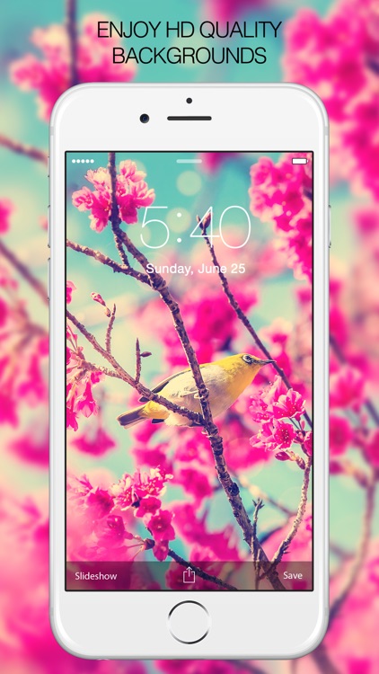 Retina Wallpapers – Retina Images & Retina Photos