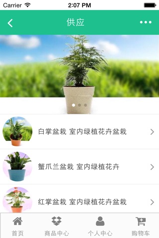 中国苗木网 screenshot 4