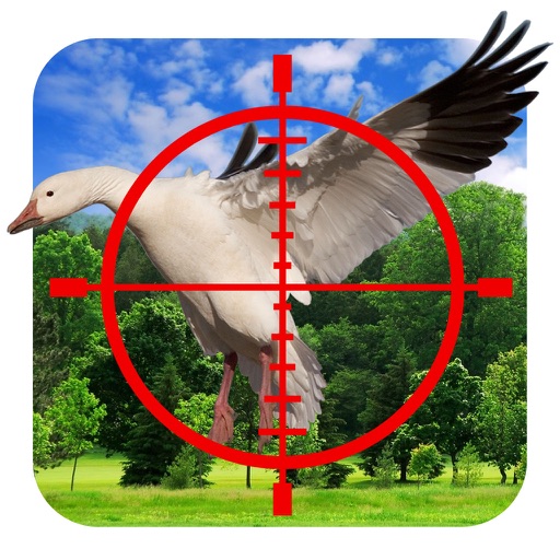 Sky Fly Birds Hunter Sniper iOS App