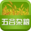中国五谷杂粮平台