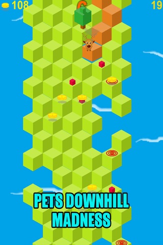 Pets Downhill Madness - Pets Puzzle Games For kids screenshot 3