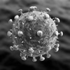 Viruses Glossary and Cheatsheet:Study Guide