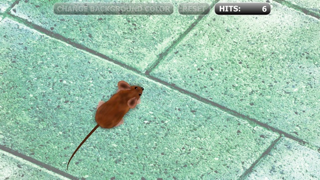 Catch the Mouse Cat Game for iPhone(圖2)-速報App