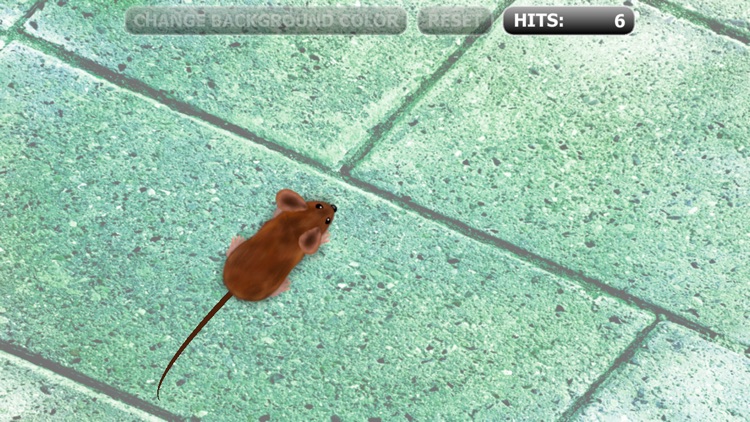 Catch the Mouse Cat Game for iPhone