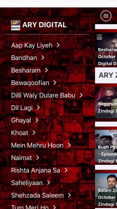 How to cancel & delete ARY Tube from iphone & ipad 3