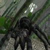 Spider simulator - The insect world
