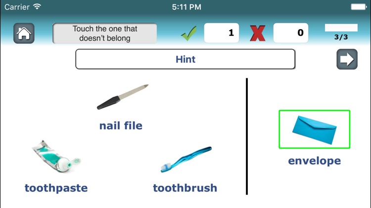 Category Therapy Lite - Aphasia Speech Rehab screenshot-3