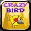 Crazy Bird - Go Far As You Can