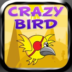 Activities of Crazy Bird - Go Far As You Can